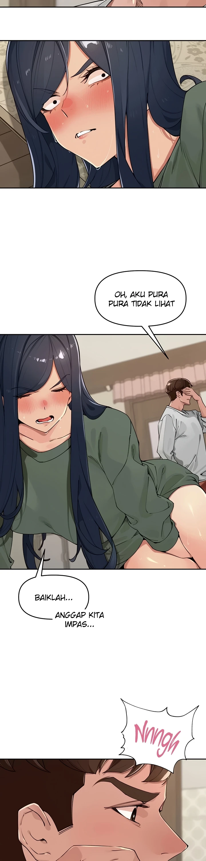 Village Special Ordinance - Page 17